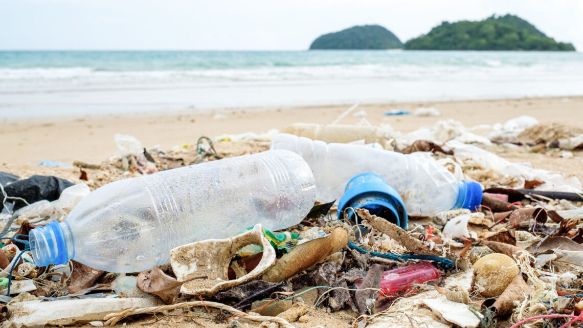 plastica mare marevivo vuoto a rendere