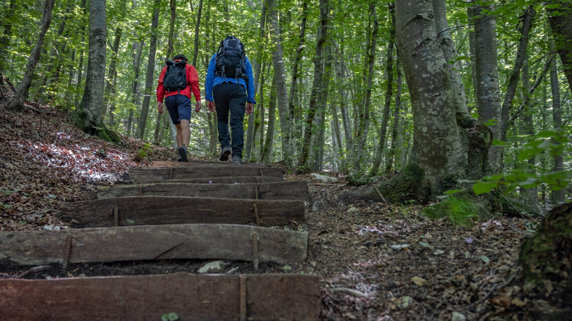 Parco del Respiro_ph.Tommaso Pini dolomiti paganella pefc italia