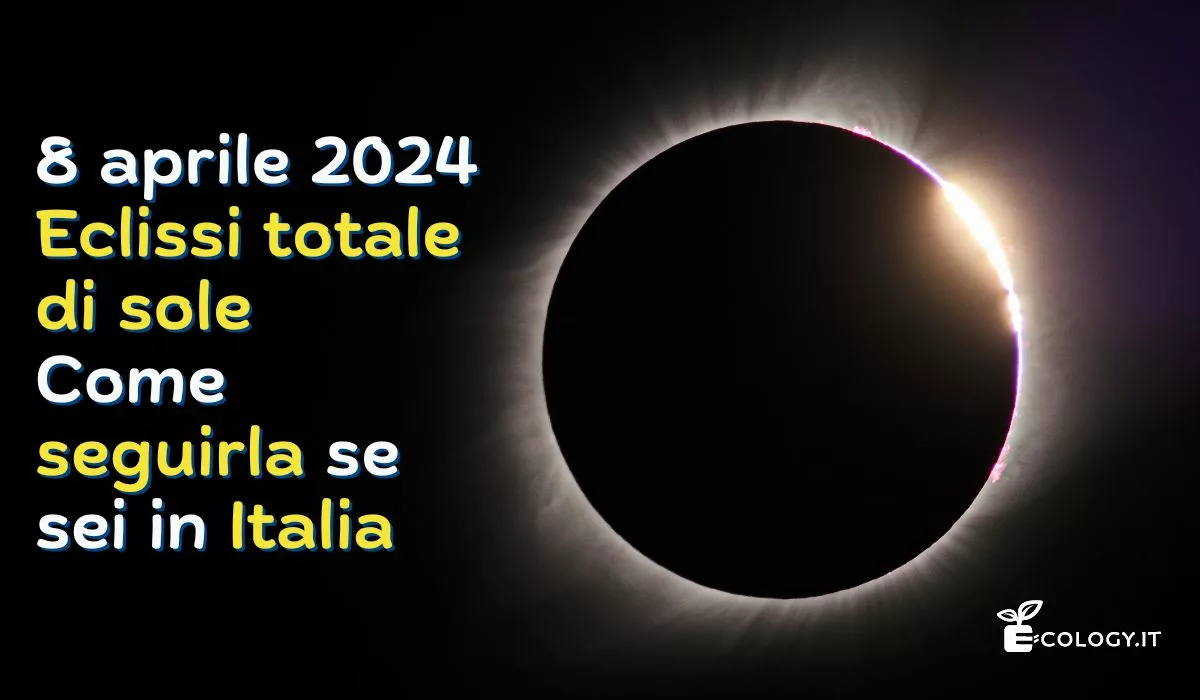 Quando Ci Sarà La Prossima Eclissi Solare In Italia Eclissi solare totale dell'8 aprile 2024. Come vederla se sei in Italia